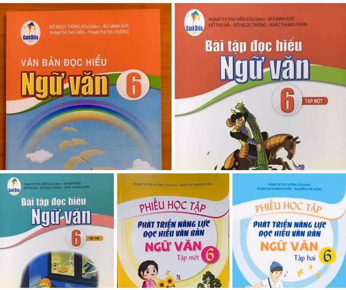 Hiện nay có rất nhiều loại sách đi kèm sách giáo khoa Ngữ văn (Ảnh chụp màn hình)