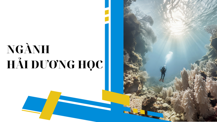 Ảnh minh họa. hai-duong-hoc-1448.png