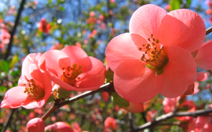 Giao dùi cho dân sẽ không sợ “đánh trống bỏ dùi” ảnh 5 Giao dùi cho dân sẽ không sợ “đánh trống bỏ dùi” ảnh 5