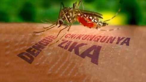 (Ảnh minh họa của Báo điện tử Đài tiếng nói Việt Nam).