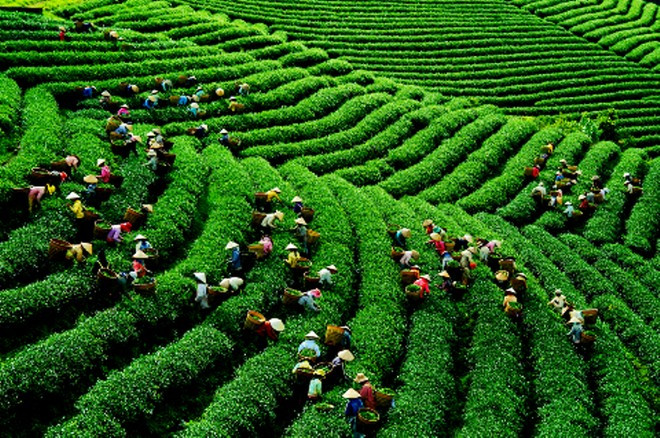 Thời gian bán cổ phần là 3 tháng kể từ ngày phương án cổ phần hóa được phê duyệt. Thời gian bán cổ phần là 3 tháng kể từ ngày phương án cổ phần hóa được phê duyệt.