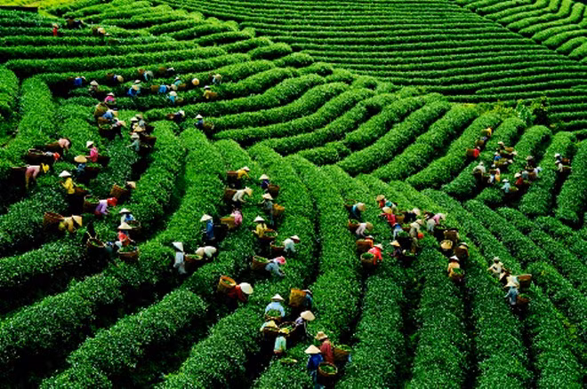 Thời gian bán cổ phần là 3 tháng kể từ ngày phương án cổ phần hóa được phê duyệt.