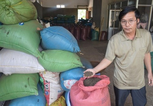 Thương lái Trung Quốc làm rối loạn thị trường Hồ Tiêu miền Trung. Bộ trưởng Công thương không biết? ảnh: Người lao động. Thương lái Trung Quốc làm rối loạn thị trường Hồ Tiêu miền Trung. Bộ trưởng Công thương không biết? ảnh: Người lao động.