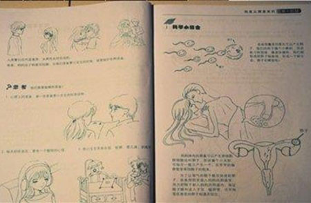 Tuy nhiên, những cuốn sách giáo dục giới tính có hình ảnh như thế này được cho là chưa phù hợp với học sinh Tiểu học.