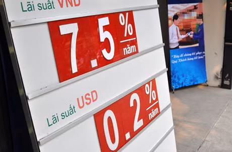 Ảnh minh họa Ảnh minh họa