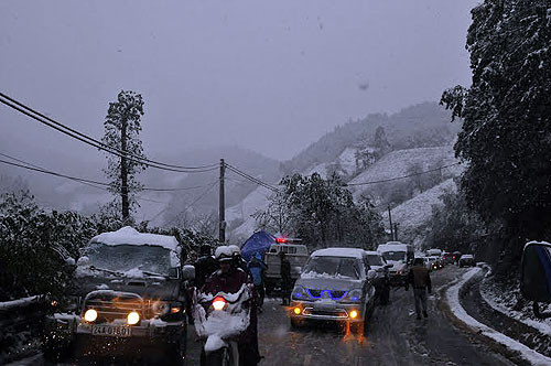 Ảnh minh họa Ảnh minh họa