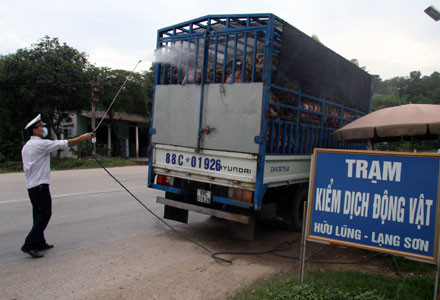 Tăng cường kiểm tra, phòng dịch (Ảnh minh họa)