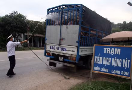 Tăng cường kiểm tra, phòng dịch (Ảnh minh họa) Tăng cường kiểm tra, phòng dịch (Ảnh minh họa)