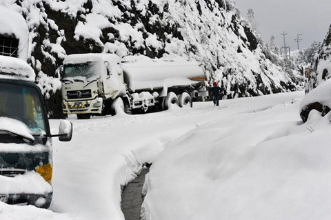 Ảnh minh họa (VietNamPlus)