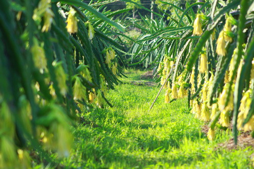 "Nông dân cần phải cảnh giác trước hành động này". "Nông dân cần phải cảnh giác trước hành động này".