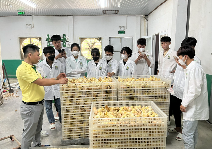 Nhóm sinh viên của Trường Đại học Nông Lâm (Đại học Huế) trong tiết thực hành, thực tập. Ảnh: Nhà trường cung cấp. Nhóm sinh viên của Trường Đại học Nông Lâm (Đại học Huế) trong tiết thực hành, thực tập. Ảnh: Nhà trường cung cấp.