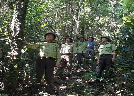 Hạt Kiểm lâm Yên Thế (tỉnh Bắc Giang) phối hợp với chủ rừng tuần tra, bảo vệ rừng tự nhiên trên địa bàn. Ảnh: Trang thông tin điện tử Kiểm lâm tỉnh Bắc Giang.