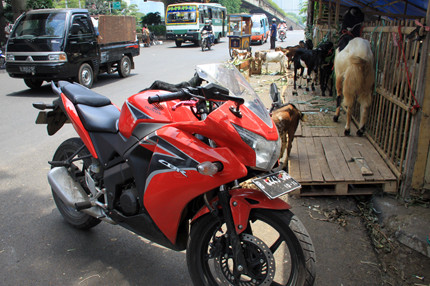 Một chiếc siêu mô tô được dùng để chở dê, đổ cho các nhà hàng.