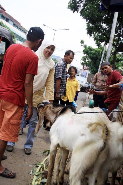 Cảnh buôn bán dê diễn ra khá tấp nập.
