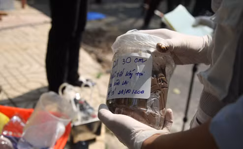 Mẫu đất thu thập được dưới "hố đen"