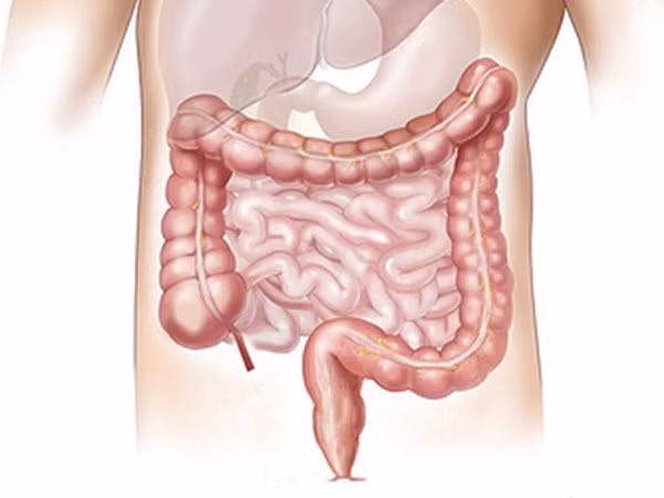 Làm sạch đại tràng góp phần có một sức khỏe tốt hơn (Ảnh: theo boldsky).