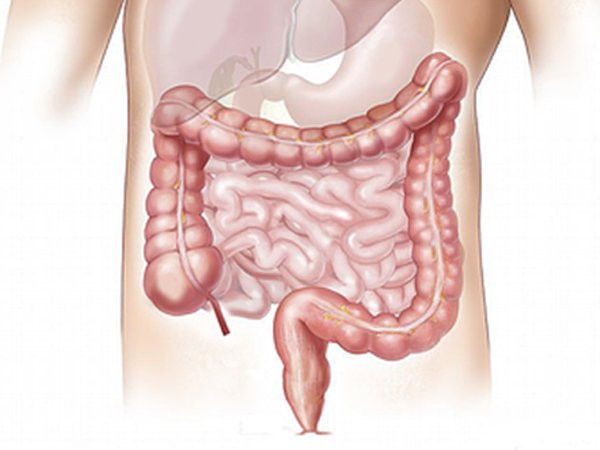Làm sạch đại tràng góp phần có một sức khỏe tốt hơn (Ảnh: theo boldsky). Làm sạch đại tràng góp phần có một sức khỏe tốt hơn (Ảnh: theo boldsky).