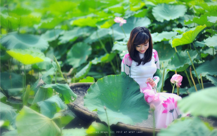 Nhan sắc của nữ sinh ĐH Ngoại thương khiến những đóa sen cũng phải "ghen tị". >>HOA KHÔI CÁC TRƯỜNG ĐẠI HỌC >>NGÔI SAO HỌC ĐƯỜNG