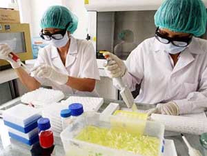 Ảnh minh họa Ảnh minh họa