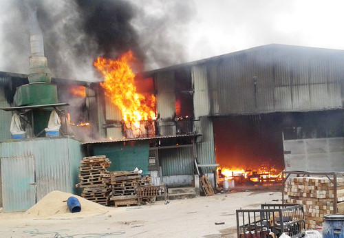 Ngọn lửa hung hãn xuất phát từ khâu sấy gỗ trong xưởng Ngọn lửa hung hãn xuất phát từ khâu sấy gỗ trong xưởng