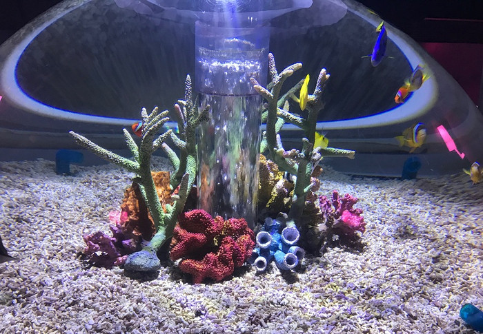 Đến Oska, bạn hãy dành thời gian trải nghiệm tại thủy cung Kaiyukan - theo tiếng Nhật có nghĩa là khu vui chơi trong lòng biển. Thủy cung rộng tới 3.900m2. Đến Oska, bạn hãy dành thời gian trải nghiệm tại thủy cung Kaiyukan - theo tiếng Nhật có nghĩa là khu vui chơi trong lòng biển. Thủy cung rộng tới 3.900m2.