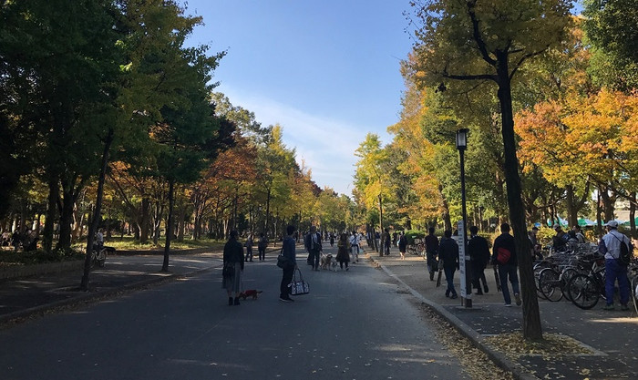 Lâu đài Osaka được bao bọc bởi công viên cùng tên Osaka với diện tích khoảng 60.000 mét vuông. Nơi đây ngập tràn sắc hoa anh đào mỗi độ xuân về và những con đường lá đỏ níu chân du khách khi trời sang Thu. Lâu đài Osaka được bao bọc bởi công viên cùng tên Osaka với diện tích khoảng 60.000 mét vuông. Nơi đây ngập tràn sắc hoa anh đào mỗi độ xuân về và những con đường lá đỏ níu chân du khách khi trời sang Thu.
