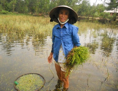 Gia đình người thương binh lam lũ vượt khó nuôi 6 con vào đại học ảnh 2