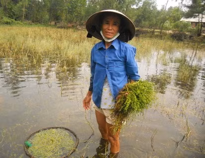 Gia đình người thương binh lam lũ vượt khó nuôi 6 con vào đại học ảnh 2