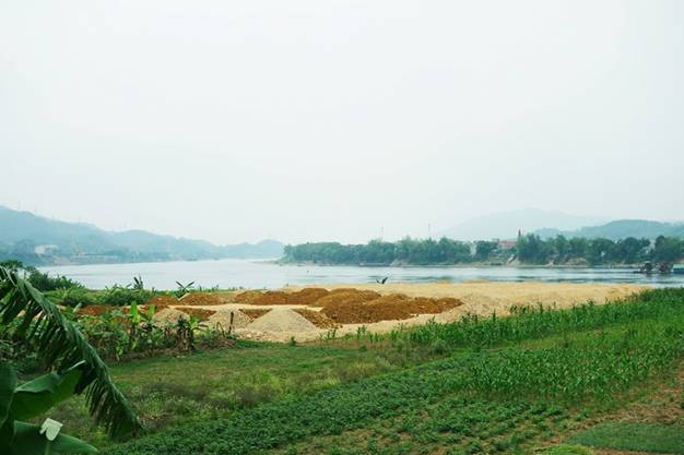 Dự án chưa được cấp phép nhưng Chủ đầu tư đã tiến hành san lấp mặt bằng.