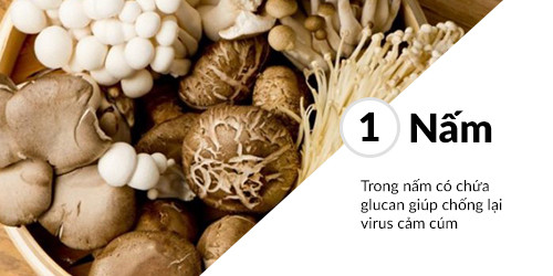 Nấm có lợi cho sức khỏe. Đồ họa: Minh Nguyệt. Nấm có lợi cho sức khỏe. Đồ họa: Minh Nguyệt.