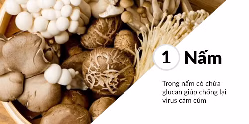 Nấm có lợi cho sức khỏe. Đồ họa: Minh Nguyệt.