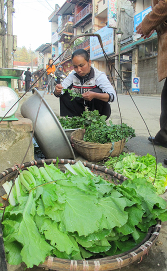 Một mớ cải trắng rất to có giá... 5.000 đồng, loại rau này chỉ mùa đông mới có. Một mớ cải trắng rất to có giá... 5.000 đồng, loại rau này chỉ mùa đông mới có.