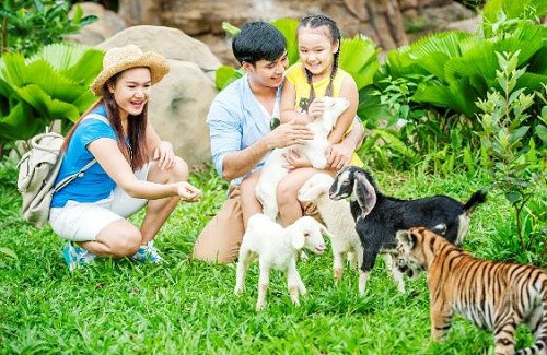 Đến với khu vực Kid Zoo để vui đùa cùng những bé thú non cực kỳ dễ thương. Đến với khu vực Kid Zoo để vui đùa cùng những bé thú non cực kỳ dễ thương.