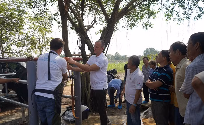 Nông dân Hà Lan chia sẻ kinh nghiệm bằng thực hành tại chuồng trại.