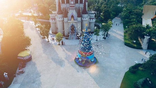 Cây thông đại dương phong cách “Aquaman” khiến du khách không khỏi thích thú. Cây thông đại dương phong cách “Aquaman” khiến du khách không khỏi thích thú.