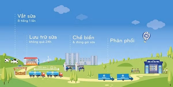 Quy trình chế biến sữa khép kín của Vinamilk.