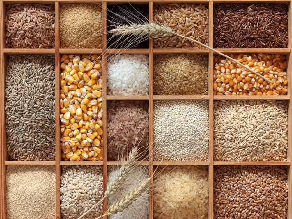 10 loại ngũ cốc nguyên chất rất tốt cho sức khỏe (Ảnh: theo Boldsky). 10 loại ngũ cốc nguyên chất rất tốt cho sức khỏe (Ảnh: theo Boldsky).