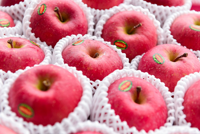 Táo Nhật Aomori tươi ngon đang là sự lựa chọn hàng đầu của người dân Thủ đô. Táo Nhật Aomori tươi ngon đang là sự lựa chọn hàng đầu của người dân Thủ đô.