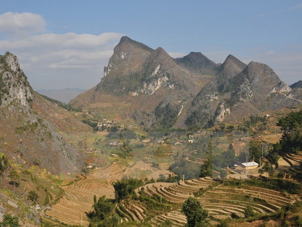 Cao nguyên đá Đồng Văn trở thành điểm du lịch hấp dẫn trong nhiều năm gần đây. ảnh: TTXVN. Cao nguyên đá Đồng Văn trở thành điểm du lịch hấp dẫn trong nhiều năm gần đây. ảnh: TTXVN.
