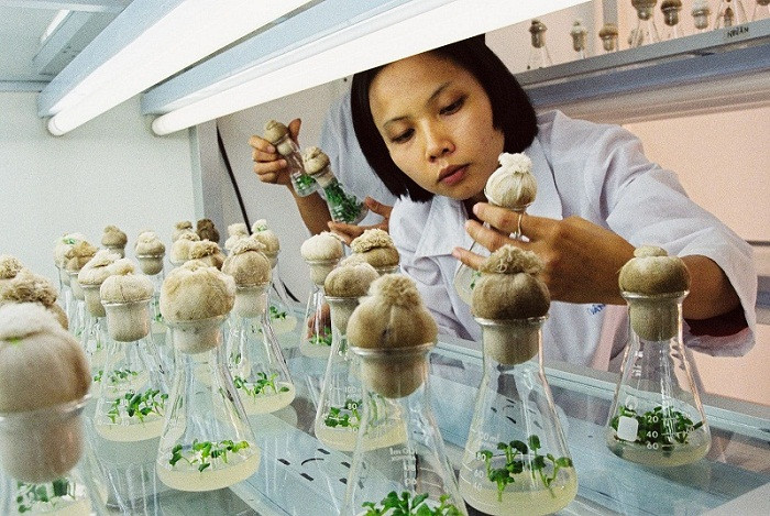 Đẩy mạnh xây dựng và phát triển công nghiệp sinh học trong các ngành, lĩnh vực, ưu tiên nhóm sản phẩm trong nông nghiệp, y dược, công thương. ảnh minh họa: VGP. Đẩy mạnh xây dựng và phát triển công nghiệp sinh học trong các ngành, lĩnh vực, ưu tiên nhóm sản phẩm trong nông nghiệp, y dược, công thương. ảnh minh họa: VGP.