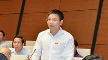 Sự ra đời của ba đặc khu sẽ mang lại nhiều lợi thế cho Việt Nam ảnh 2 Sự ra đời của ba đặc khu sẽ mang lại nhiều lợi thế cho Việt Nam ảnh 2