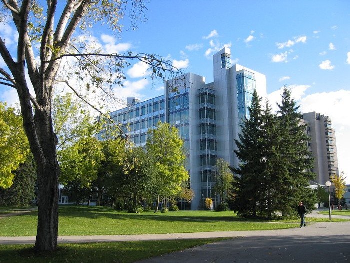 The University of Calgary là một trong số những lựa chọn tuyệt vời đối với những bạn đang muốn chọn Canada là đất nước để nối tiếp con đường học tập và nghiên cứu. The University of Calgary là một trong số những lựa chọn tuyệt vời đối với những bạn đang muốn chọn Canada là đất nước để nối tiếp con đường học tập và nghiên cứu.