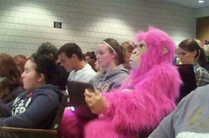 Thành viên nổi bật nhất lớp. Thành viên nổi bật nhất lớp.