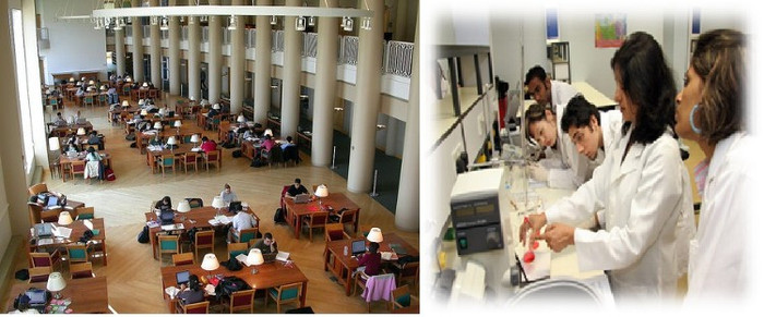 Trường đại học này bao gồm các trường cao đẳng và các đơn vị hướng dẫn sau đây: nông nghiệp, tiêu dùng và Khoa học Môi trường; Ứng dụng khoa học y tế; hàng không; kinh doanh; Giáo dục; Cơ khí; Mỹ thuật và Nghệ thuật ứng dụng; khỏe; Luật Thú y; sỹ College, Lao động và Việc làm Quan hệ; Nghệ thuật tự do và Khoa học; Truyền thông; Thư viện và Thông tin Khoa học và Công tác Xã hội. Trường đại học này bao gồm các trường cao đẳng và các đơn vị hướng dẫn sau đây: nông nghiệp, tiêu dùng và Khoa học Môi trường; Ứng dụng khoa học y tế; hàng không; kinh doanh; Giáo dục; Cơ khí; Mỹ thuật và Nghệ thuật ứng dụng; khỏe; Luật Thú y; sỹ College, Lao động và Việc làm Quan hệ; Nghệ thuật tự do và Khoa học; Truyền thông; Thư viện và Thông tin Khoa học và Công tác Xã hội.