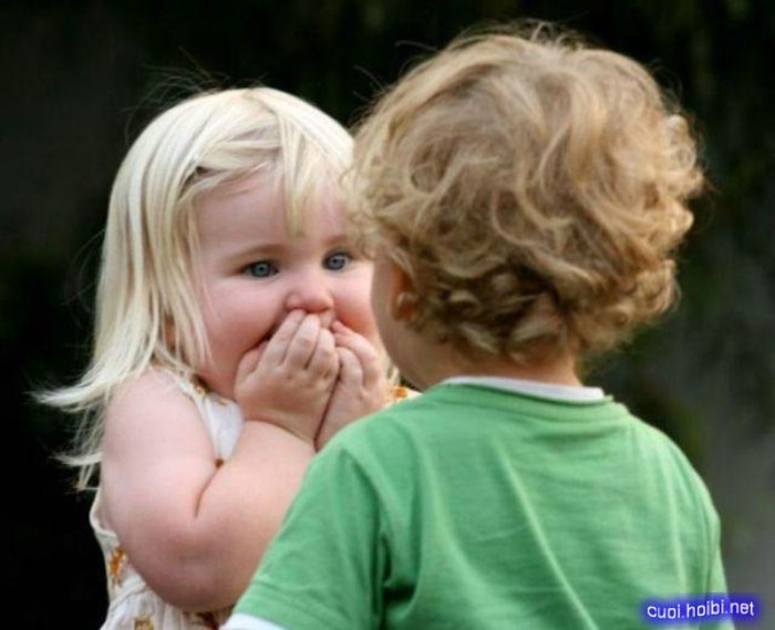 Ảnh minh họa Ảnh minh họa