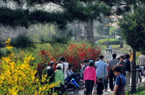Một trong những không gian xanh lớn nhất ở Seoul và cũng là nơi mới nhất, Rừng Seoul mở cửa từ năm 2004 và tọa lạc trên khu săn bắn hoàng gia của đảo Ttukseom. Trong rừng còn tồn tại rất nhiều cây cổ thụ lớn và cùng với những thắng cảnh hấp dẫn khác, Rừng Seoul xứng đáng là một điểm đến của các bạn du học sinh. Một trong những không gian xanh lớn nhất ở Seoul và cũng là nơi mới nhất, Rừng Seoul mở cửa từ năm 2004 và tọa lạc trên khu săn bắn hoàng gia của đảo Ttukseom. Trong rừng còn tồn tại rất nhiều cây cổ thụ lớn và cùng với những thắng cảnh hấp dẫn khác, Rừng Seoul xứng đáng là một điểm đến của các bạn du học sinh.