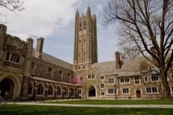 7. Princeton University