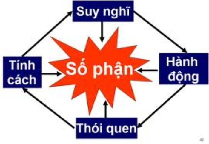 Ảnh minh họa Ảnh minh họa
