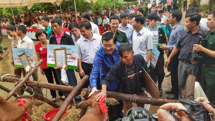 Chủ tịch nước Trương Tấn Sang trực tiếp tặng bò giống cho người nghèo. Chủ tịch nước Trương Tấn Sang trực tiếp tặng bò giống cho người nghèo.