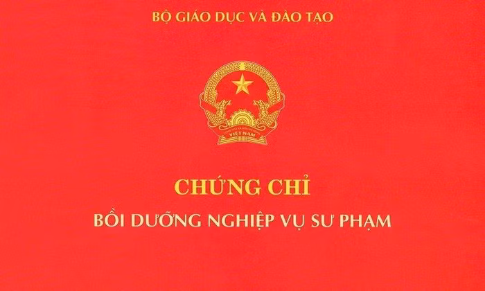 Ảnh minh họa: riam.edu.vn Ảnh minh họa: riam.edu.vn